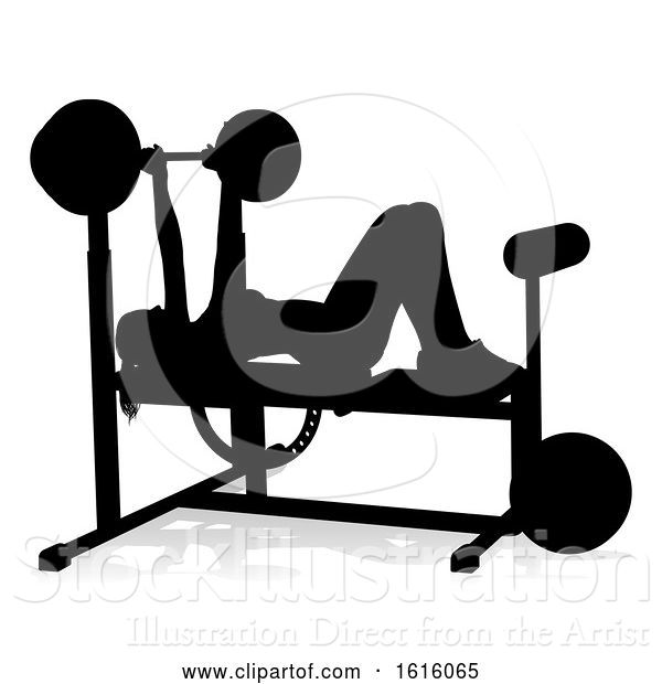 Vector Illustration of Gym Lady Silhouette Weights Bench Barbell, on a White Background