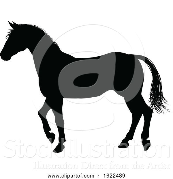 Vector Illustration of Horse Animal Silhouette