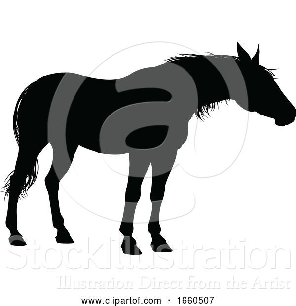 Vector Illustration of Horse Animal Silhouette