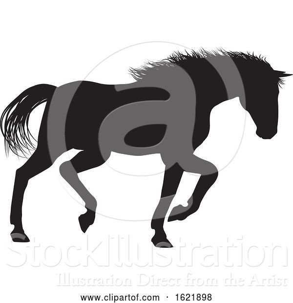 Vector Illustration of Horse Silhouette Animal