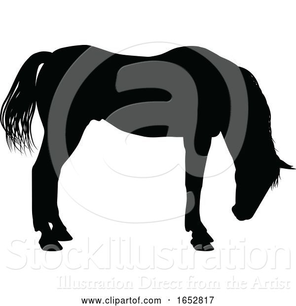 Vector Illustration of Horse Silhouette Animal