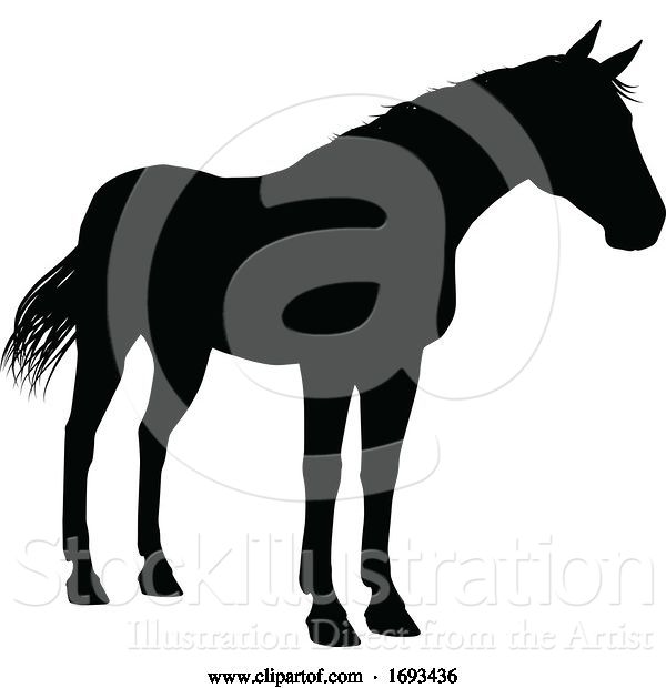 Vector Illustration of Horse Silhouette Animal