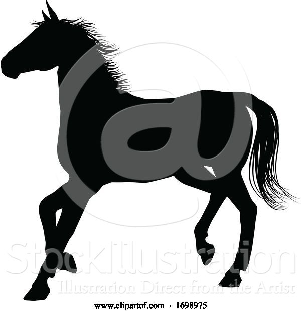 Vector Illustration of Horse Silhouette Animal