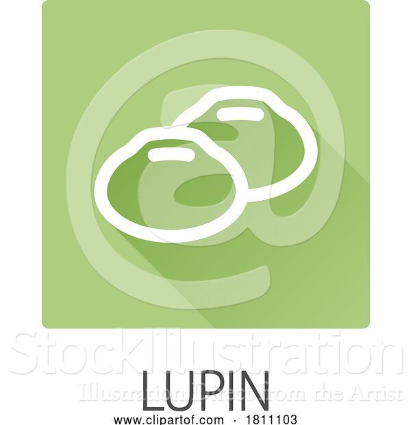 Vector Illustration of Lupin Bean Legume Food Icon Concept