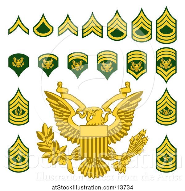 Vector Illustration of Military American Enlisted Rank Badges