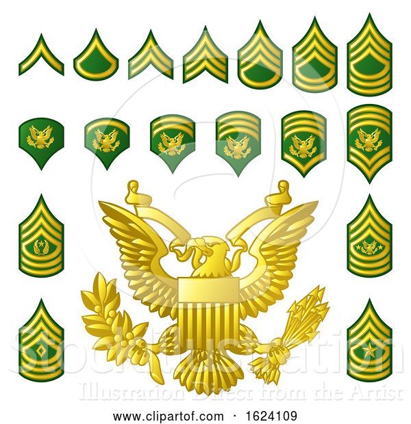 Vector Illustration of Military Army Enlisted Ranks Insignia