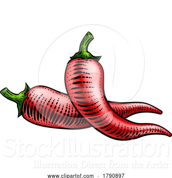 Vector Illustration of Pepper Vegetable Vintage Woodcut Illustration