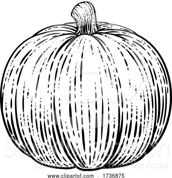 Vector Illustration of Pumpkin Vegetable Vintage Woodcut Illustration