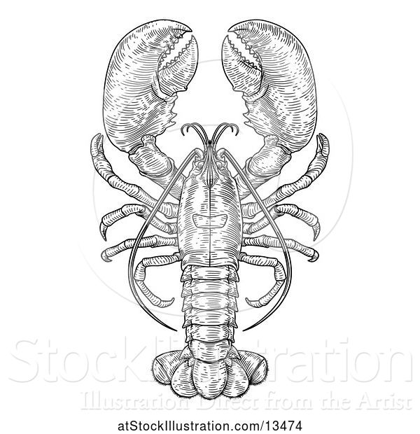Vector Illustration of Retro Black and White Engraved Lobster