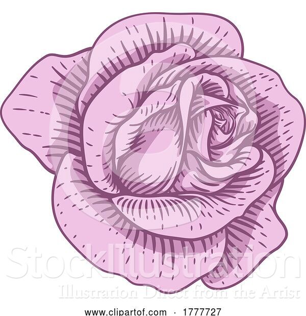 Vector Illustration of Rose Flower Design Woodcut Vintage Style