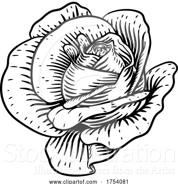 Vector Illustration of Rose Flower Vintage Woodcut Drawing