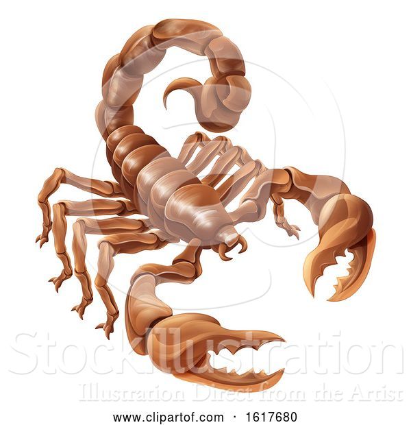 Vector Illustration of Scorpion Scorpio Zodiac Sign Design