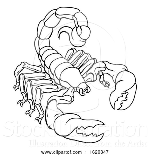 Vector Illustration of Scorpion Scorpio Zodiac Sign Design