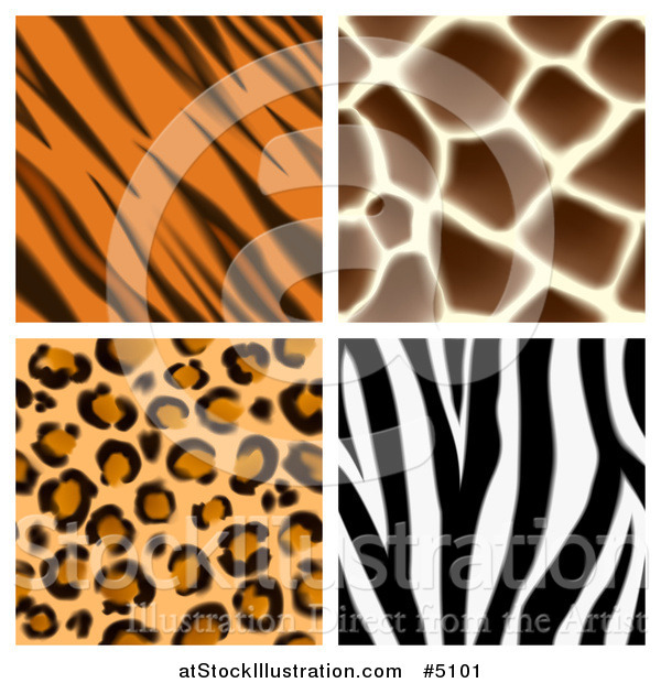 Vector Illustration of Seamless Giraffe Leopard Zebra and Tiger Stripe Animal Prints