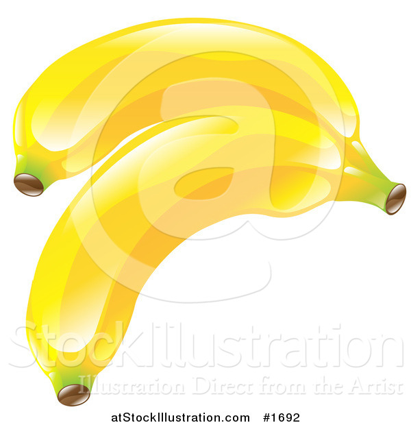 Vector Illustration of Shiny Organic Yellow Bananas