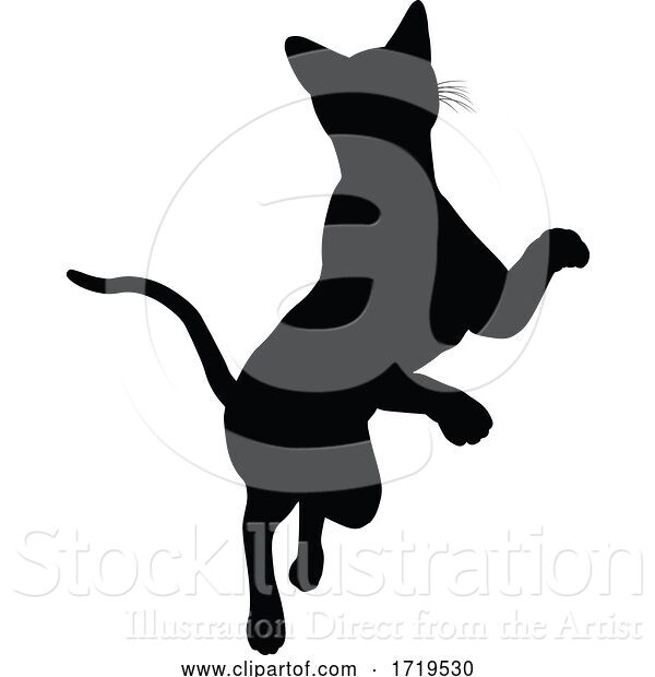 Vector Illustration of Silhouette Cat Pet Animal