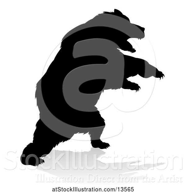 Vector Illustration of Silhouetted Bear with a Reflection or Shadow, on a White Background