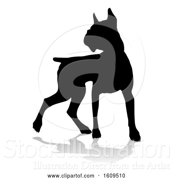 Vector Illustration of Silhouetted Boxer Dog, with a Reflection or Shadow, on a White Background