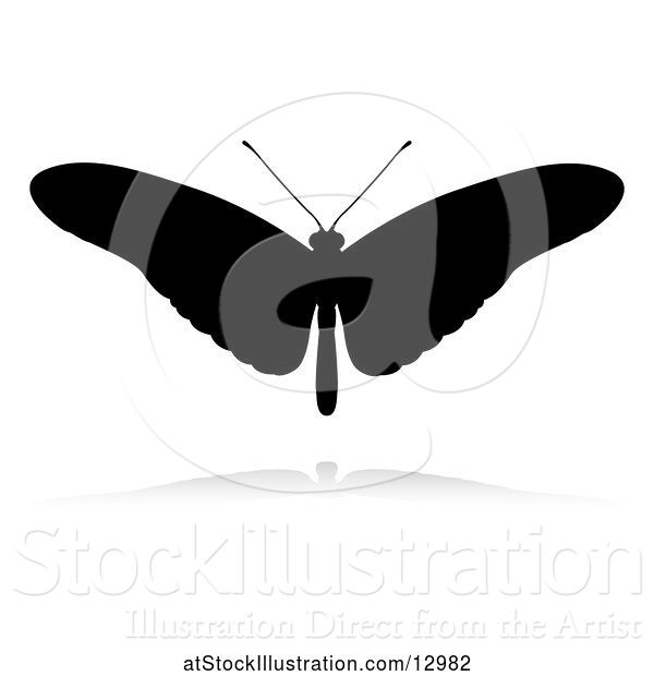 Vector Illustration of Silhouetted Butterfly, with a Reflection or Shadow, on a White Background