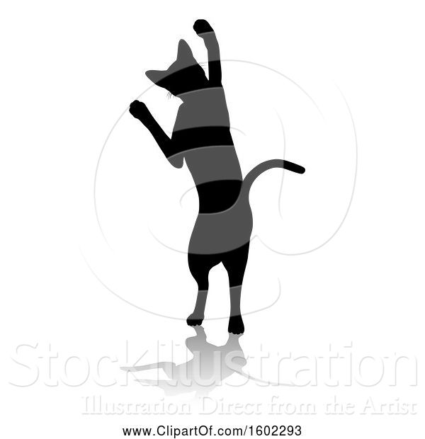 Vector Illustration of Silhouetted Cat, with a Shadow or Reflection, on a White Background