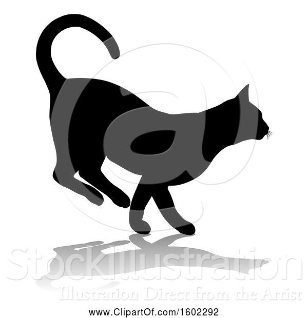 Vector Illustration of Silhouetted Cat, with a Shadow or Reflection, on a White Background