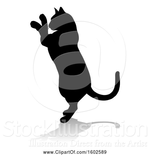 Vector Illustration of Silhouetted Cat, with a Shadow or Reflection, on a White Background