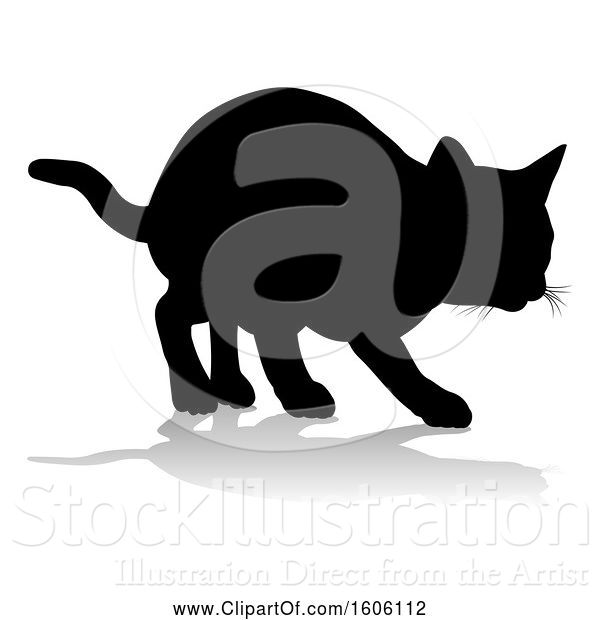 Vector Illustration of Silhouetted Cat, with a Shadow or Reflection, on a White Background