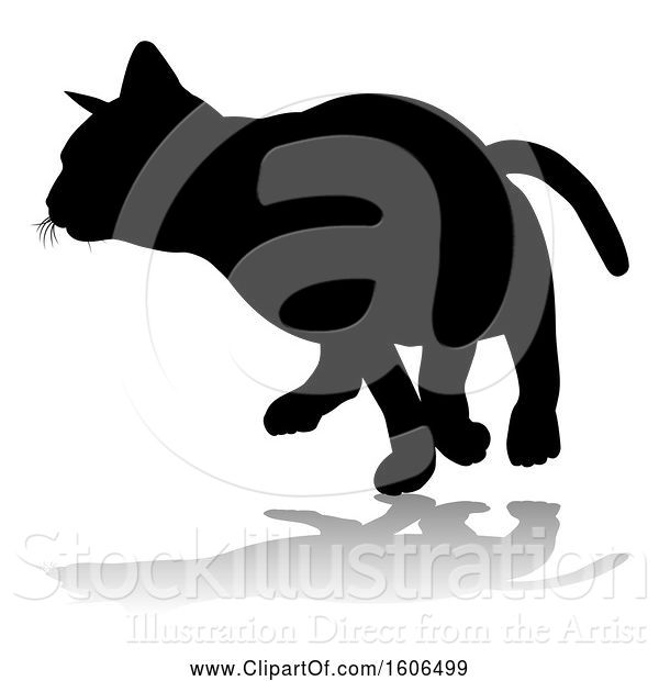 Vector Illustration of Silhouetted Cat, with a Shadow or Reflection, on a White Background