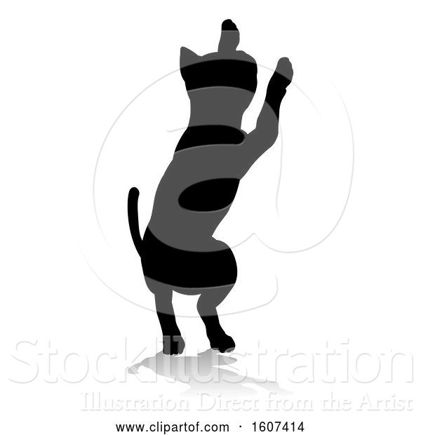 Vector Illustration of Silhouetted Cat, with a Shadow or Reflection, on a White Background