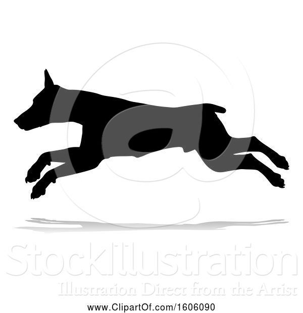 Vector Illustration of Silhouetted Doberman Dog, with a Reflection or Shadow, on a White Background