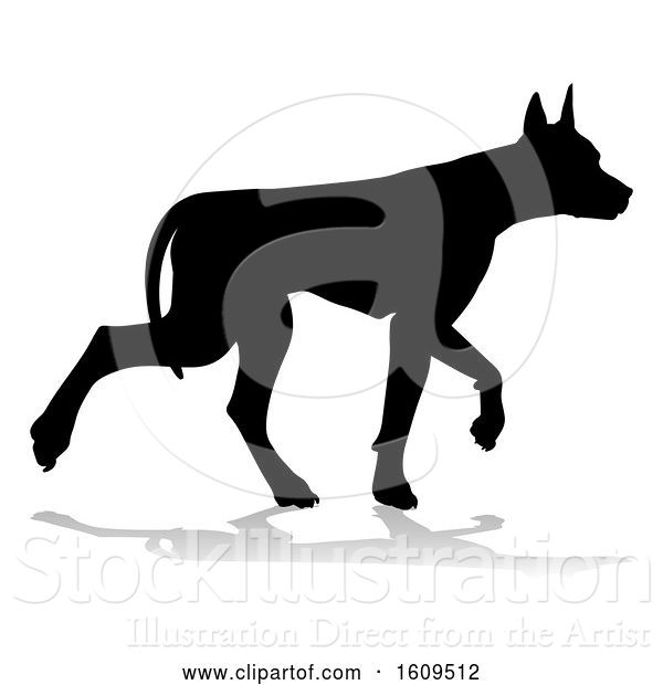 Vector Illustration of Silhouetted Doberman Dog, with a Reflection or Shadow, on a White Background