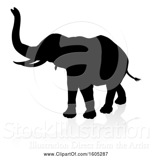 Vector Illustration of Silhouetted Elephant, with a Reflection on a White Background