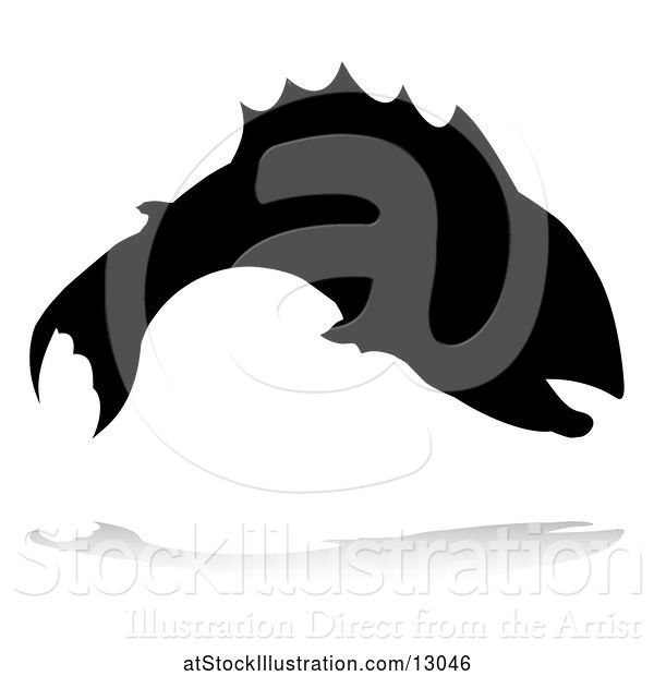 Vector Illustration of Silhouetted Fish, with a Reflection or Shadow, on a White Background