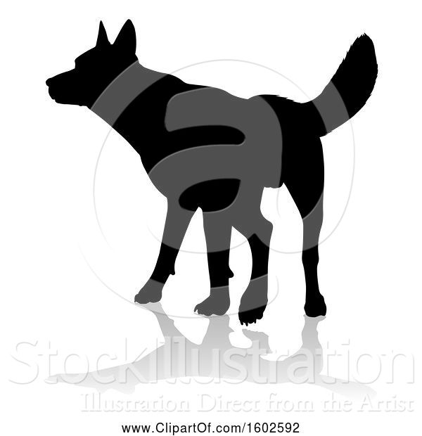 Vector Illustration of Silhouetted German Shepherd Dog, with a Reflection or Shadow, on a White Background