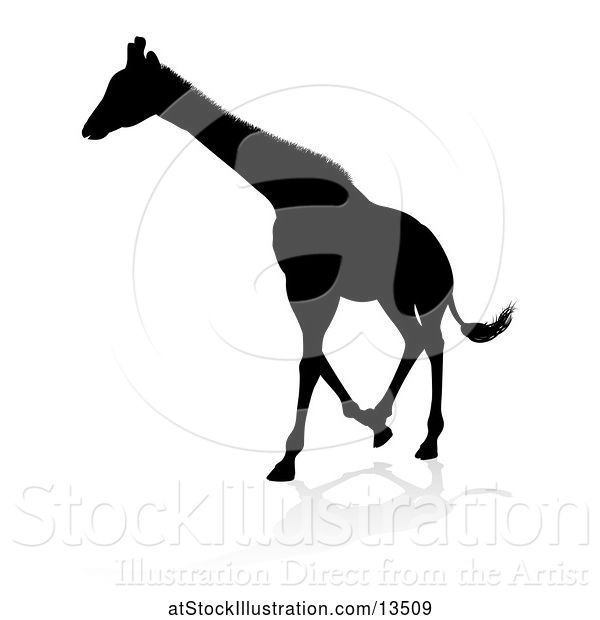 Vector Illustration of Silhouetted Giraffe, with a Reflection or Shadow