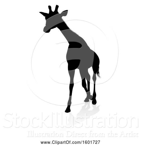 Vector Illustration of Silhouetted Giraffe, with a Reflection or Shadow, on a White Background