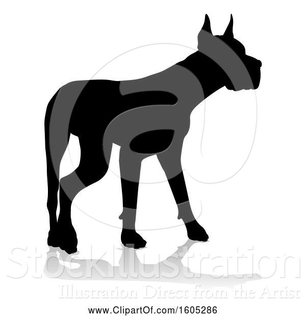 Vector Illustration of Silhouetted Great Dane Dog, with a Reflection or Shadow, on a White Background