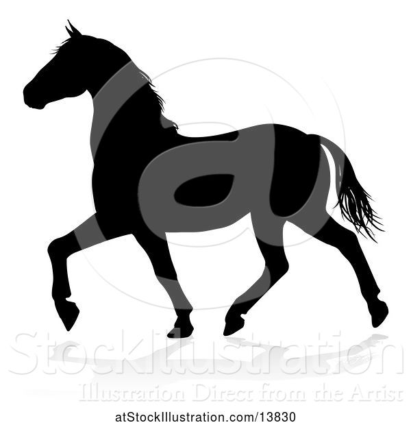 Vector Illustration of Silhouetted Horse Trotting, with a Reflection or Shadow