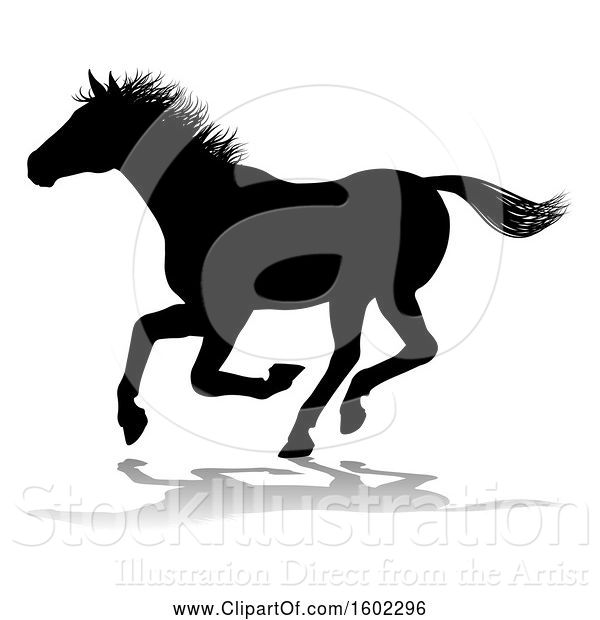 Vector Illustration of Silhouetted Horse, with a Reflection or Shadow, on a White Background