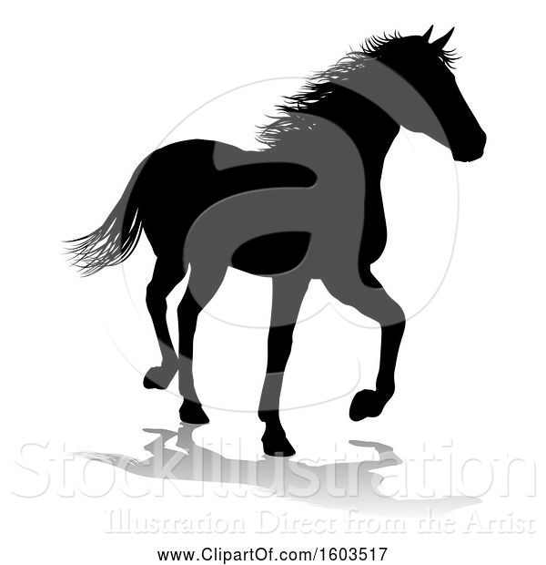 Vector Illustration of Silhouetted Horse, with a Reflection or Shadow, on a White Background