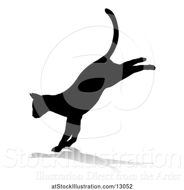 Vector Illustration of Silhouetted Landing Cat, with a Reflection or Shadow, on a White Background