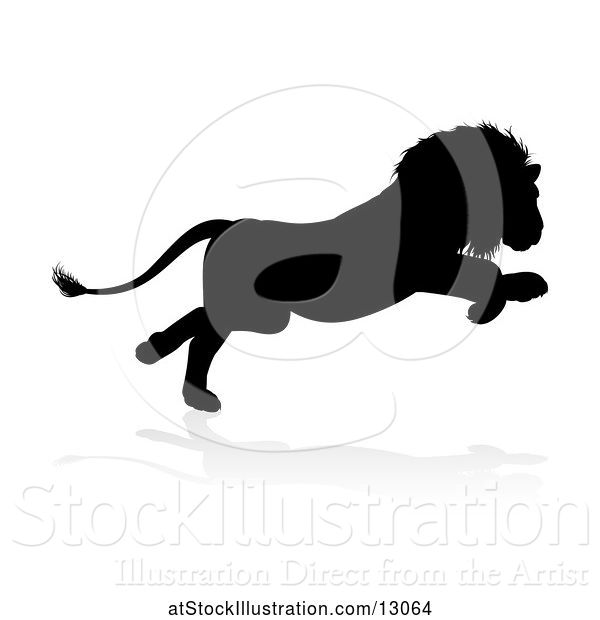 Vector Illustration of Silhouetted Male Lion, with a Reflection or Shadow, on a White Background