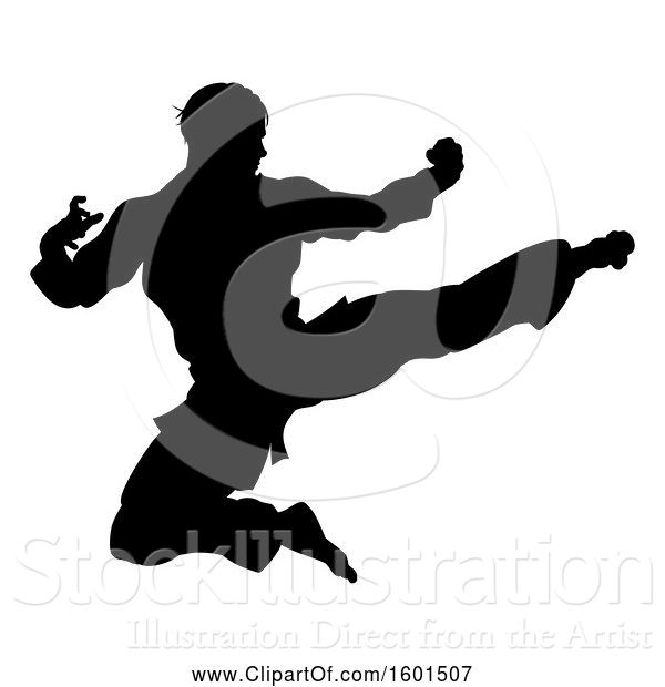 Vector Illustration of Silhouetted Martial Artist Kicking