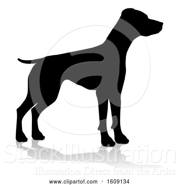 Vector Illustration of Silhouetted Pointer Dog, with a Reflection or Shadow, on a White Background