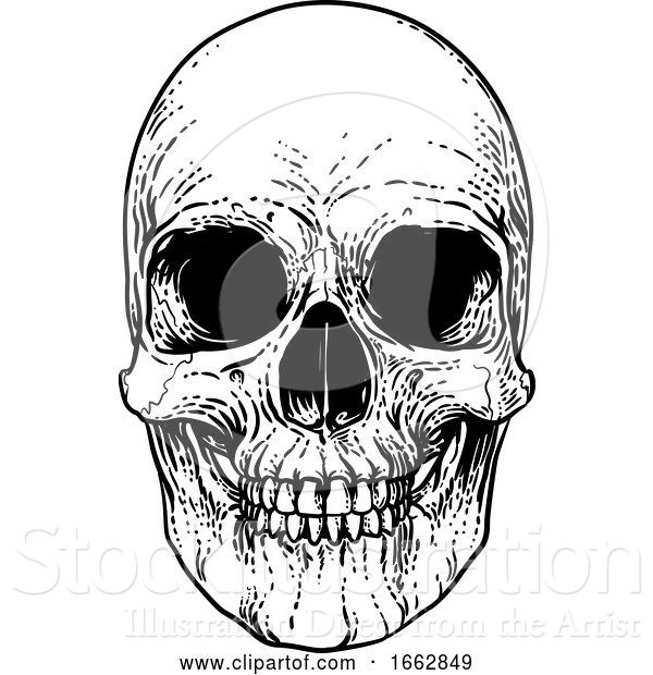 Vector Illustration of Skull Grim Reaper Vintage Woodcut Illustration