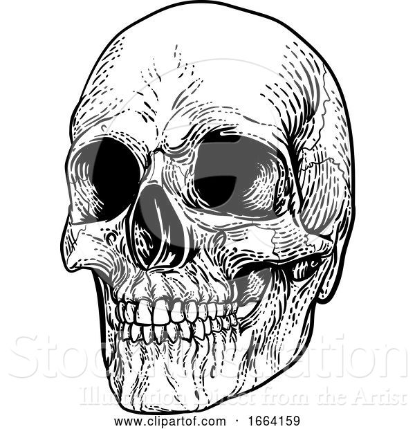 Vector Illustration of Skull Grim Reaper Vintage Woodcut Illustration