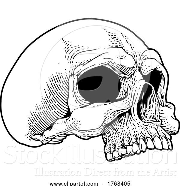 Vector Illustration of Skull Skeleton Grim Reaper Mascot Vintage Woodcut