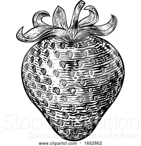 Vector Illustration of Strawberry Vintage Woodcut Illustration