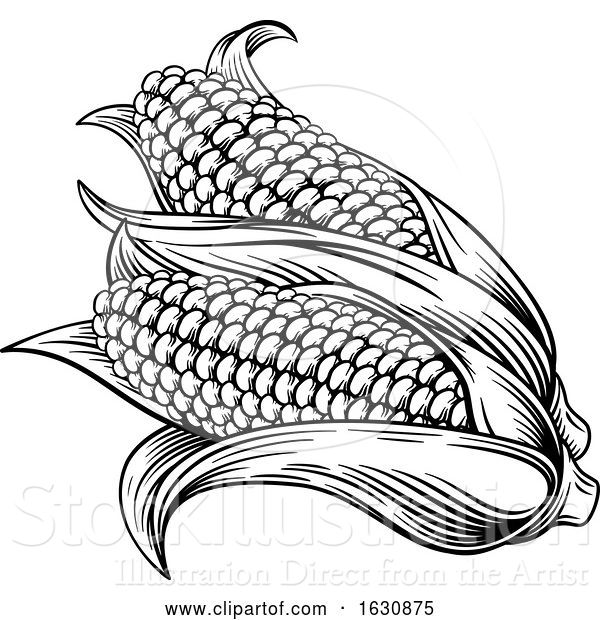 Vector Illustration of Sweet Corn Ear Maize Woodcut Etching Illustration