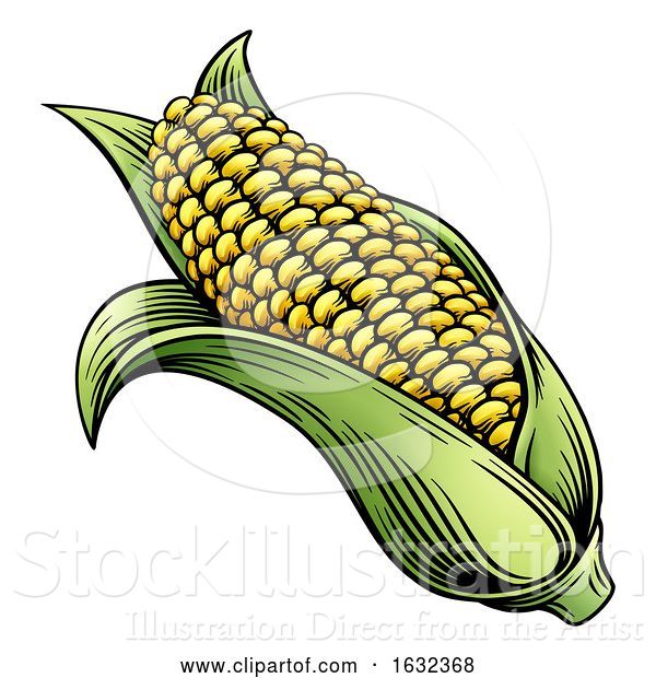 Vector Illustration of Sweet Corn Ear Maize Woodcut Etching Illustration
